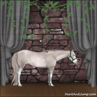 Horse Color:Platinum White Spotted Liver Chestnut Pearl Splash Rabicano