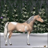 Horse Color:Silver Blue Roan Pearl Tobiano Frame 