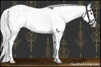 Horse Color:White Spotted Silver Buckskin Chinchilla Pearl 