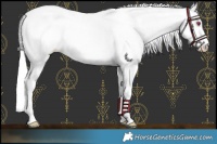 Horse Color:Silver Smoky Grullo Chinchilla Pearl Sabino 