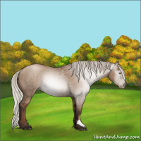 Horse Color:Gray Silver Grullo Pearl Rabicano