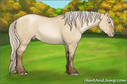 Horse Color:Gray Silver Smoky Grullo Pearl Rabicano 
