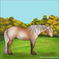 Horse Color:Gray Silver Bay Pearl 