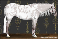 Horse Color:Chocolate Silver Smoky Grullo Chinchilla Near Leopard