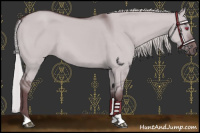 Horse Color:Chocolate Silver Grullo Chinchilla