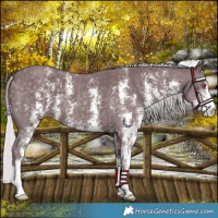 Horse Color:Chocolate Silver Black Chinchilla Sabino 
