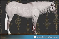 Horse Color:Chocolate Silver Grullo Chinchilla 