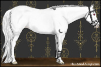 Horse Color:Red Dun Chinchilla Near Leopard 