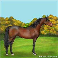 Horse Color:Brown Tobiano Varnish Rabicano 