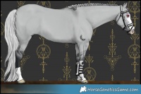 Horse Color:Silver Grullo Chinchilla 