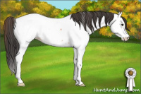 Horse Color:Bay Roan Splash Fewspot Rabicano 