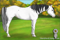 Horse Color:Blue Roan Splash Fewspot Rabicano 