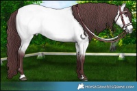 Horse Color:Chocolate Buckskin Chinchilla Roan 