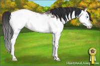 Horse Color:Bay Roan Splash Near Fewspot Rabicano 