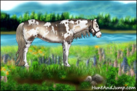 Horse Color:Plaid  White Spotted Liver Red Onyx Sabino 
