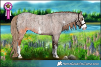 Horse Color:Liver Red Dun Roan Sabino Brindle 