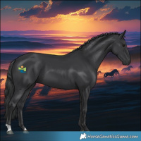 Horse Color:Black 