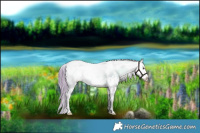Horse Color:Watercolor White Spotted Liver Red Dun Onyx Sabino 