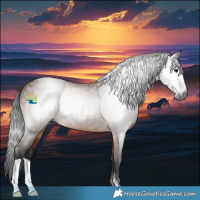 Horse Color:Gray Bay 