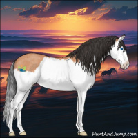 Horse Color:Bay Roan Splash Rabicano 
