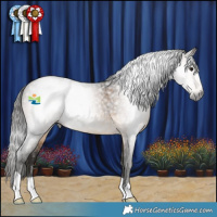 Horse Color:Gray Buckskin Roan 