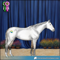 Horse Color:Gray Silver Buckskin Roan Dun 