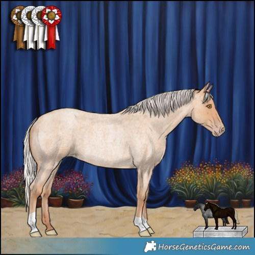 Horse Color:Silver Classic Champagne Roan Rabicano 
