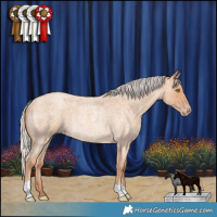 Horse Color:Silver Classic Champagne Roan Rabicano 