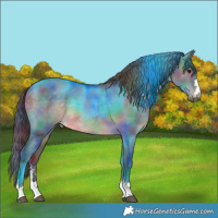 Horse Color:Nacre Brown Dun