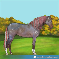 Horse Color:Painted Silver Brown Dun 