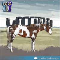 Horse Color:White Spotted Liver Chestnut 