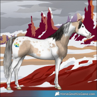 Horse Color:Bay Dun Splash Tobiano 