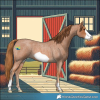Horse Color:Red Roan Frame 