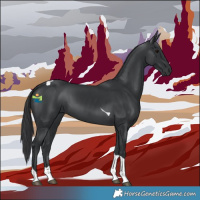 Horse Color:Black Tobiano 