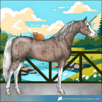 Horse Color:Liver Red Dun Ice Mushroom Sabino Splash Brindle