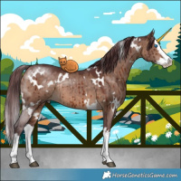 Horse Color:White Spotted Chocolate Brown Dun Splash Brindle 