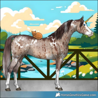 Horse Color:White Spotted Chocolate Brown Dun Splash Brindle 