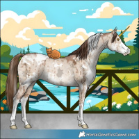 Horse Color:White Spotted Brown Ice Pearl Dun Sabino Brindle 
