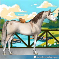 Horse Color:Liver Red Dun Pearl Sabino Splash 