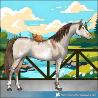 Horse Color:Brown Pearl Dun Sabino 