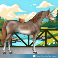 Horse Color:Liver Red Dun Sabino Brindle 