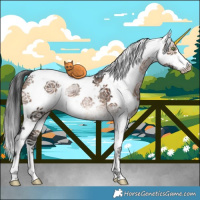 Horse Color:Brown Dun Sabino Rabicano Brindle