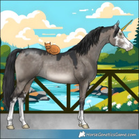 Horse Color:Brown Dun Sabino 
