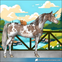 Horse Color:White Spotted Liver Red Dun Sabino Brindle
