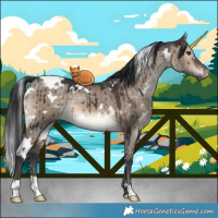 Horse Color:White Spotted Brown Dun Brindle 