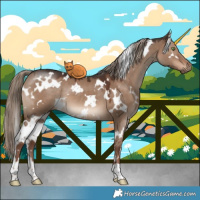 Horse Color:White Spotted Liver Red Dun 