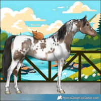 Horse Color:White Spotted Liver Red Dun Tobiano 