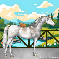 Horse Color:White Spotted Liver Red Dun Ice Mushroom Sabino Splash 