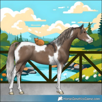 Horse Color:Liver Red Dun Sabino Tobiano 