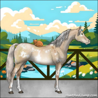 Horse Color:White Spotted Silver Brown Pearl Dun Sabino 